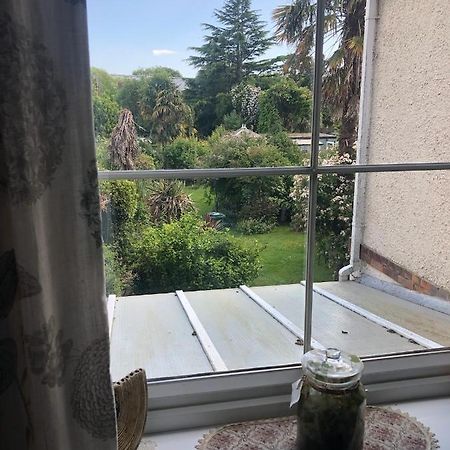 Old Orchard House Bed & Breakfast Lavant Bagian luar foto
